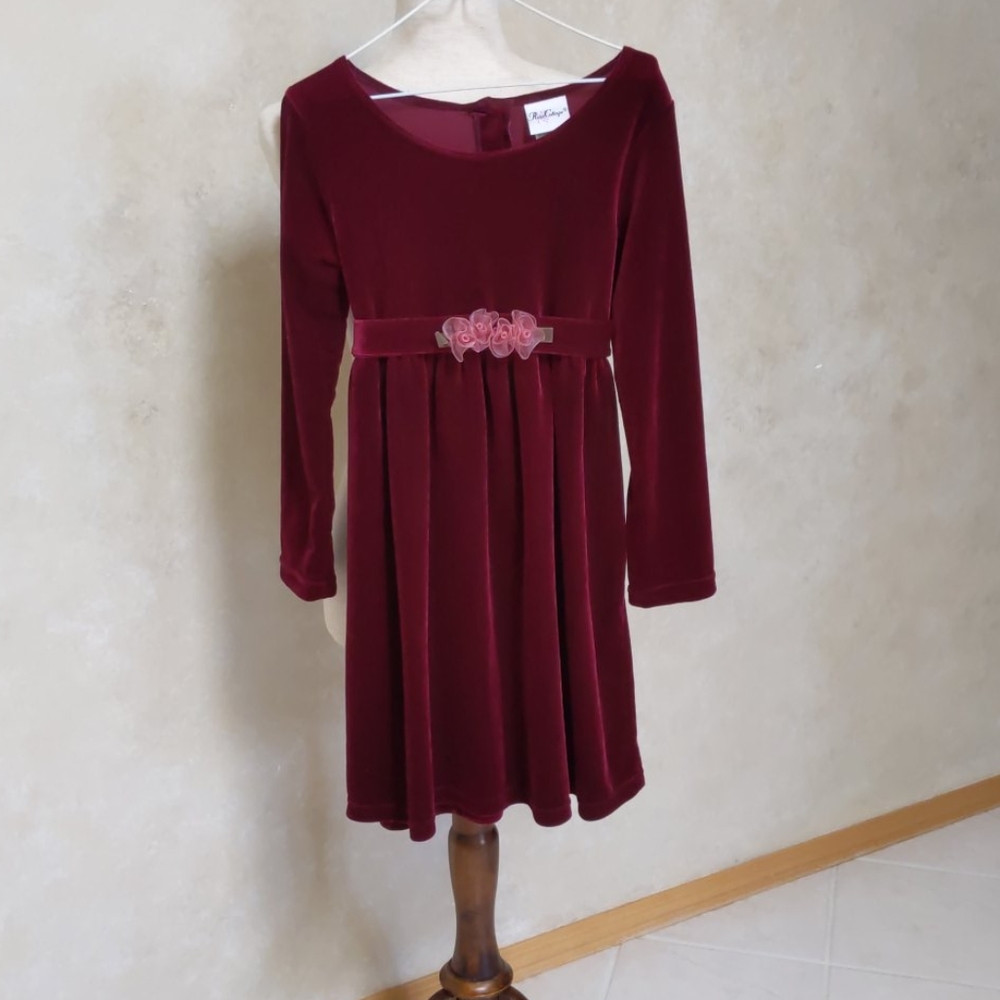 NWOT Velvet Dress